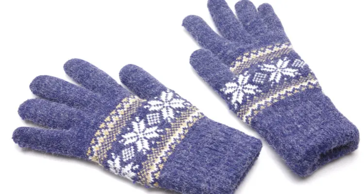 A pair of gloves