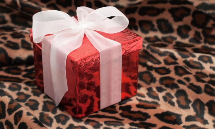 leopard gifts for her